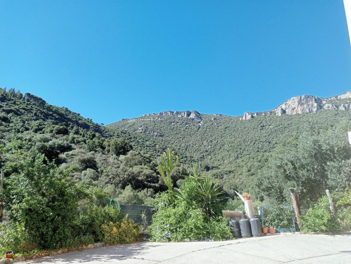 Locanda D'Ogliastra, Triei Exterior photo